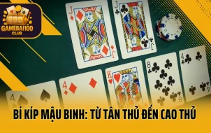 Bí Kíp Mậu Binh: Từ Tân Thủ Đến Cao Thủ Chỉ Trong Một Ngày