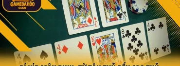 Bí Kíp Mậu Binh: Từ Tân Thủ Đến Cao Thủ Chỉ Trong Một Ngày