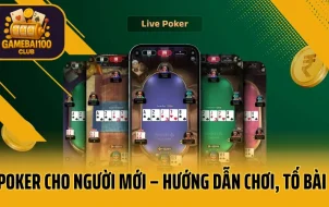 Poker Cho Người Mới – Hướng Dẫn Chơi, Tố Bài Và Mẹo Giành Lợi Thế