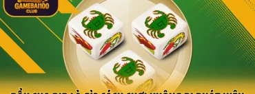 Bầu Cua Bịp Là Gì? Cách Chơi Bầu Cua Không Bị Phát Hiện Dành Cho Người Mới